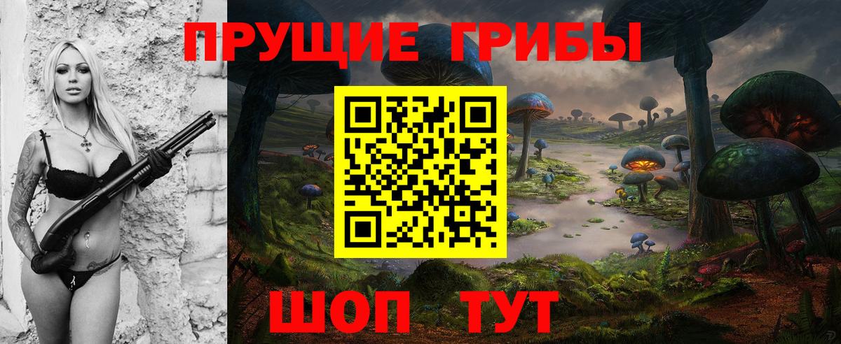 Людиново  Псилоцибиновые грибы Magic Shrooms  Вход с VPN 