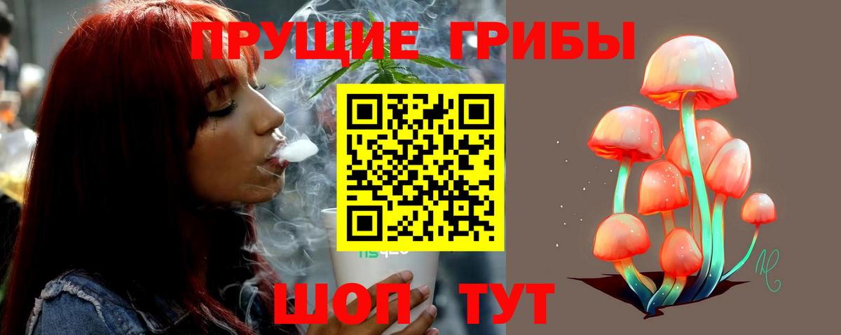Псилоцибиновые грибы мицелий Людиново